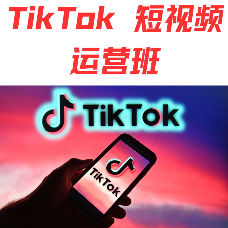 TikTok 短视频营销班