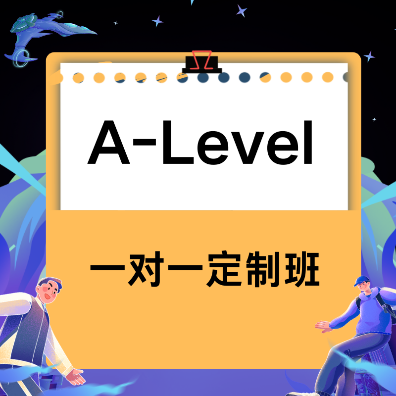 新学堂 A-Level 一对一定制班