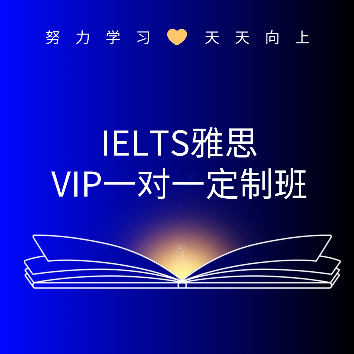 新学堂雅思 VIP 一对一定制班