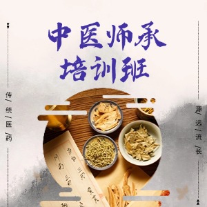 西安中医师承培训班