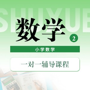 南京小学数学一对一辅导