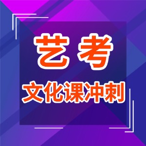广州艺考文化课冲刺班