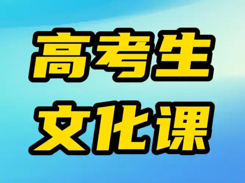 深圳艺考文化课辅导机构排名一览：优质学府之路的必备指南！