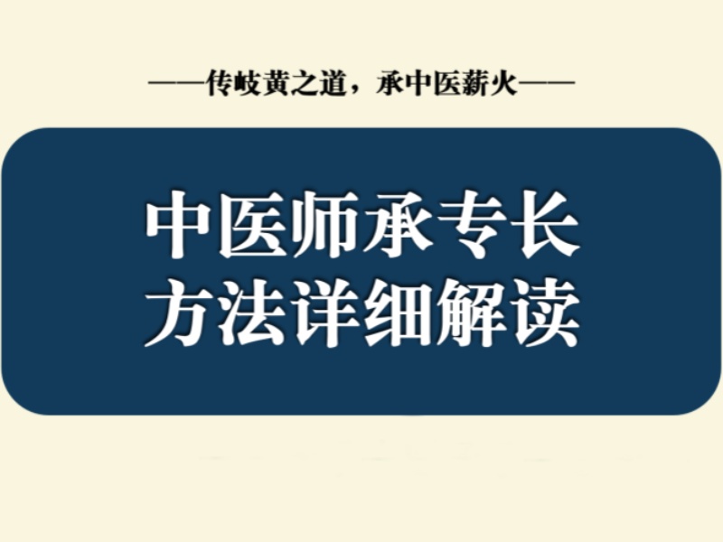 山东中医师承培训机构排名一览表，探寻中医智慧之路