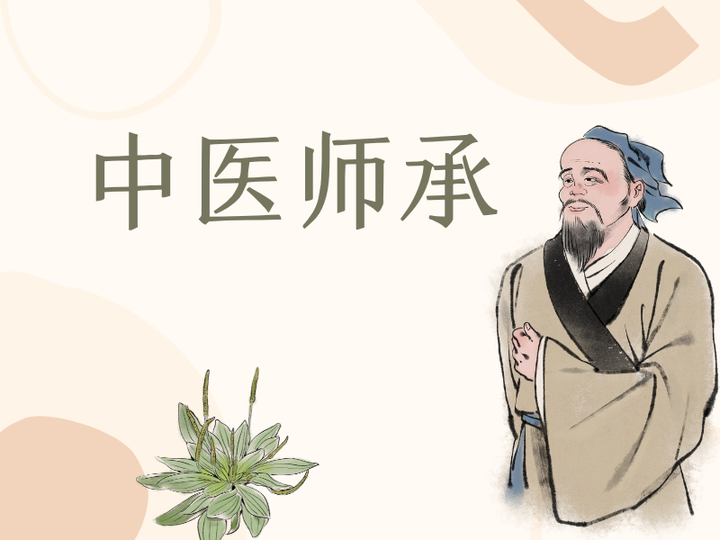 中医师承培训选山东，师资排名一览助力成长