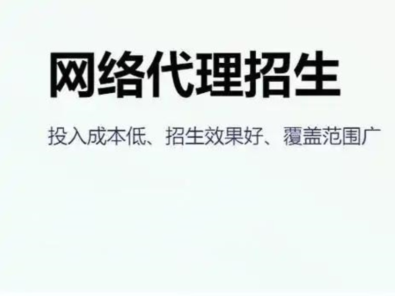 线上编程招生代理怎么吸引流量？哪些推广手段效果更显著？