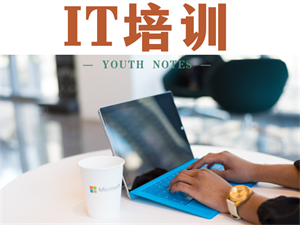 沈阳 IT 培训学校前十强一览，轻松选好校