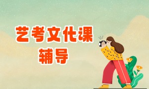 2025 武汉艺考文化课培训机构 TOP3 一览：班型设置怎么选？