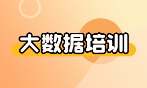 2025 上海大数据培训机构前四一览：哪家就业薪资更实在？