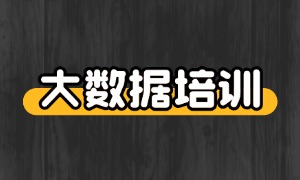 2025 成都大数据培训机构 TOP3 一览：实战项目有哪些干货？
