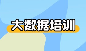 2025 郑州大数据培训机构 TOP3 一览：哪个机构口碑好？