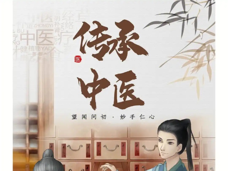 济南中医师承培训机构TOP3如何选择？零基础入门指南
