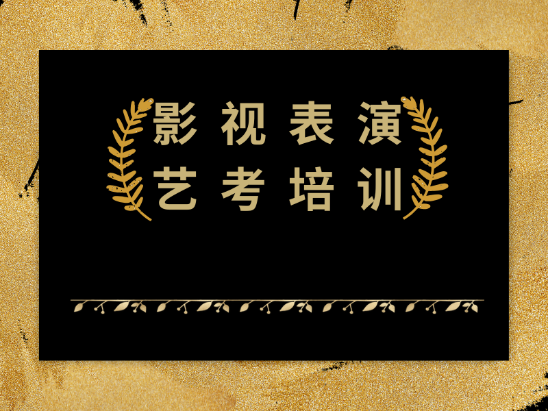 武汉表演艺考培训机构TOP3，零基础冲刺哪家好？