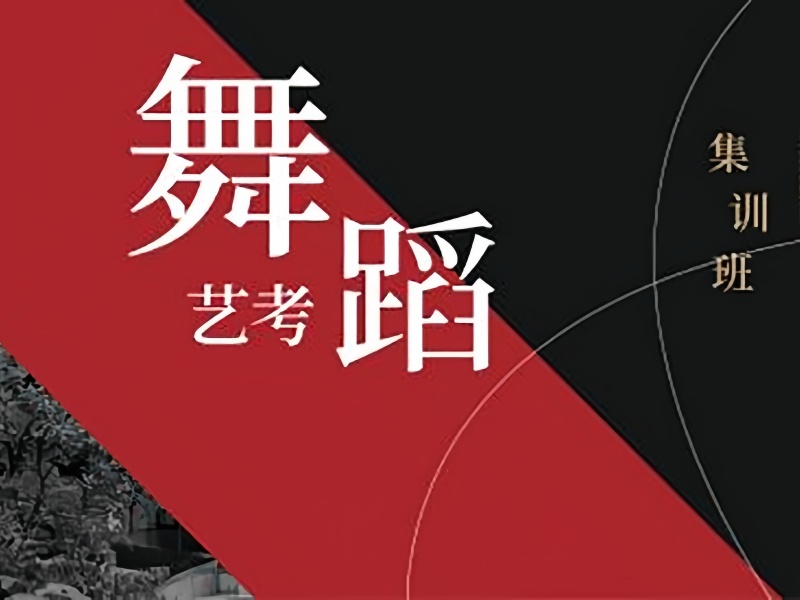 武汉舞蹈艺考培训前五推荐，如何选择文化课同步的集训班？