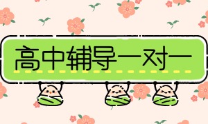 2025 武汉一对一辅导前三一览，英语语法谁讲得透？