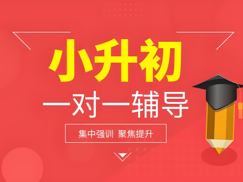 武汉小升初培训 TOP6 机构哪家强？拔尖学生冲刺秘籍