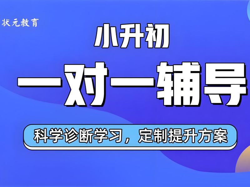 武汉小升初培训前五怎么选？冲刺名校