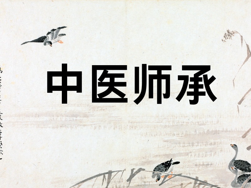 山东中医师承培训机构前四强，名老中医跟师实践