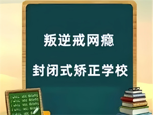2025 徐州叛逆纠正学校前四排名，厌学叛逆矫正机构选哪个？