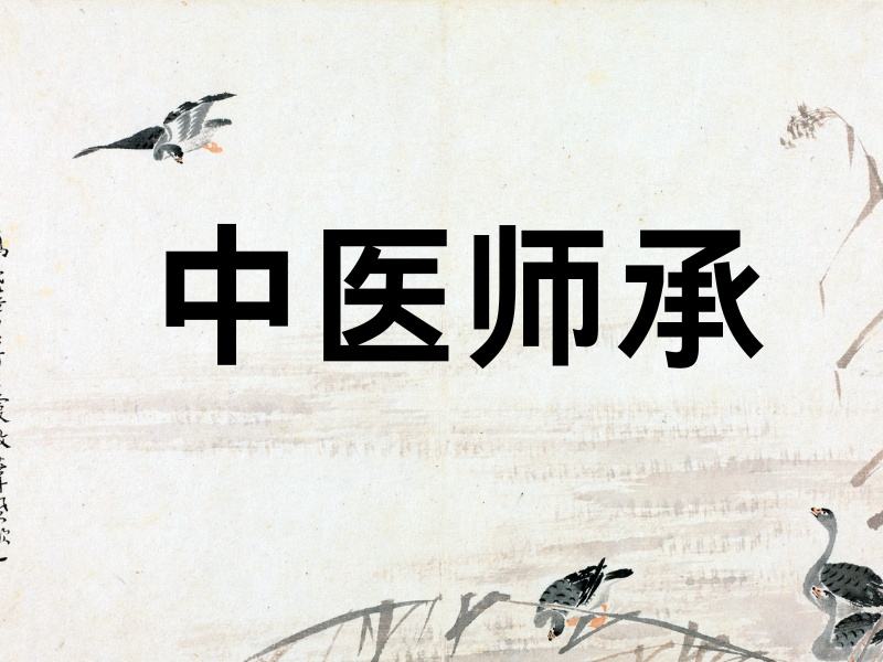 2025 西安中医师承去哪里找老师？中医师承培训班 TOP6 排名一览