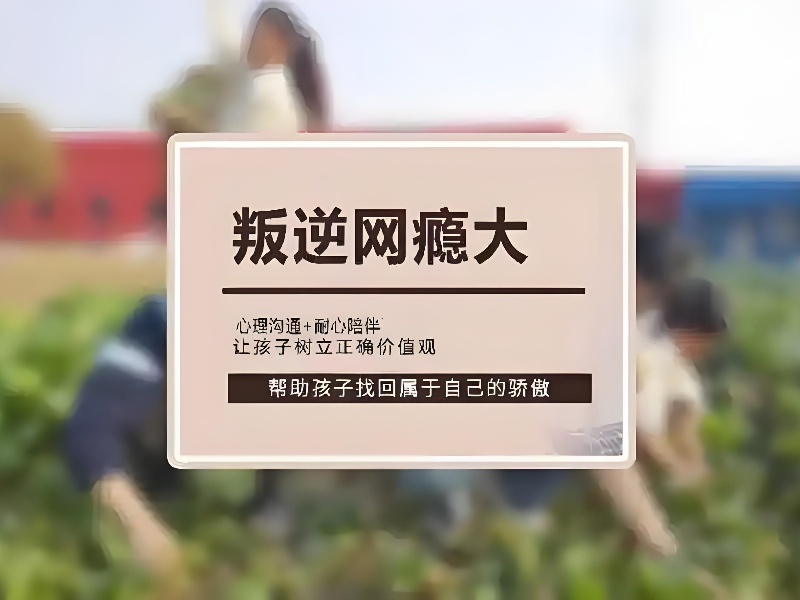 2025 云南青少年叛逆厌学教育基地？叛逆机构前五排名一览