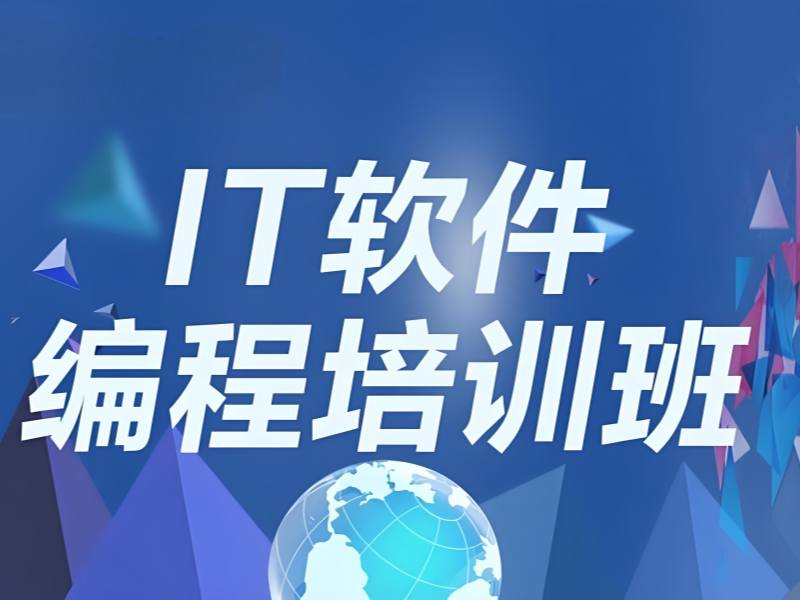 2025 武汉学it技术哪里好？IT 培训TOP4排名一览