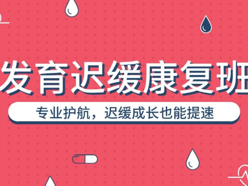 2025重庆儿童语言发育迟缓康复机构哪找？康复班前6排名一览