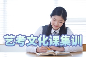 2025 南京艺考文化课培训学校咋选?辅导机构前五排名一览
