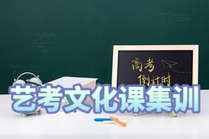 2025 南京艺考文化集训机构哪个口碑好?辅导机构前六排名一览