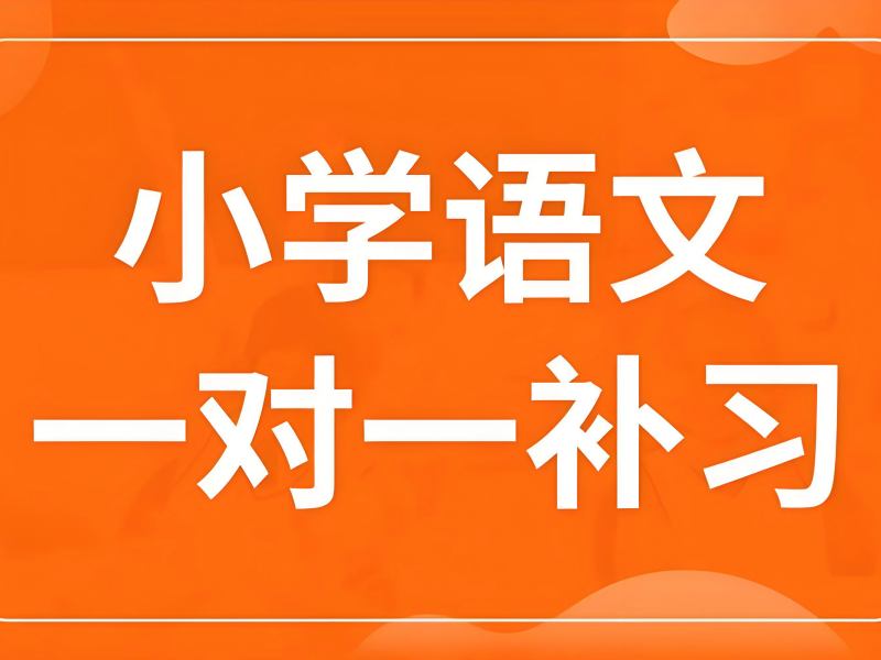 2025南京小学语文怎么补课最有效？小学语文培训班排名前六一览