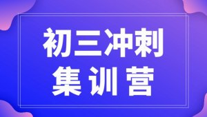 2025 天津初中一对一辅导机构前4排名一览，中考冲刺哪家指导细致？