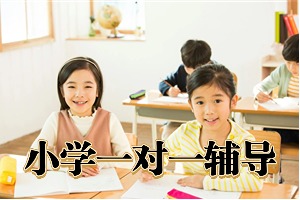 2025 北京小学辅导机构 TOP3 排名一览，1v1 小班选哪家靠谱？
