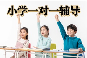 2025北京小学辅导机构 TOP3 排名一览，收费透明的机构是哪个？