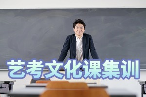 2025佛山前五艺考文化课培训学校，哪家住宿集训环境更好？