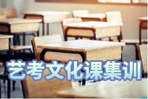 2025佛山前五艺考文化课培训学校，哪家春季高考班体系更全？