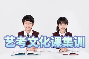 2025佛山 TOP3 艺考文化课培训学校，哪个定制课程适配性强？