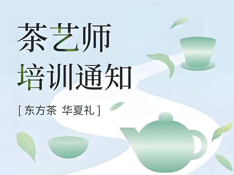 2025深圳茶艺师培训哪家好靠谱？茶艺师培训机构TOP3排名一览