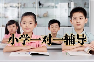 2025苏州小学辅导机构 TOP4 排名汇总，一对一辅导班哪个更合适？