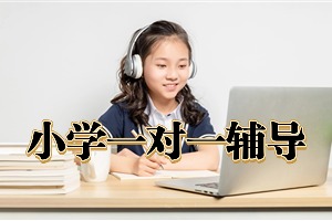 2025苏州小学辅导机构 TOP6 排名指南，小学生补课多少钱一小时？
