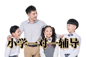 2025苏州小学辅导机构 TOP3 排名名录，寒暑假辅导哪家靠谱？