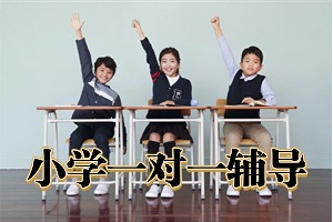 2025苏州小学辅导机构 TOP4 排名汇总，一对一辅导找谁合心意？