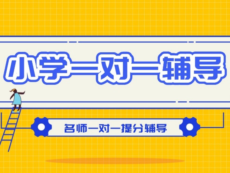 2026北京附近小学辅导班哪家好？优质小学辅导班TOP3排名一览