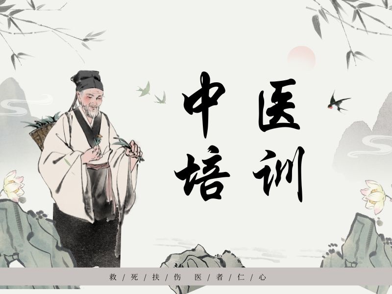 2026西安中医培训机构哪家口碑好？中医培训机构TOP3排名一览