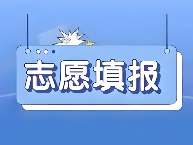 2026天津正规报志愿机构选哪家？正规志愿填报机构 TOP4 排名一览