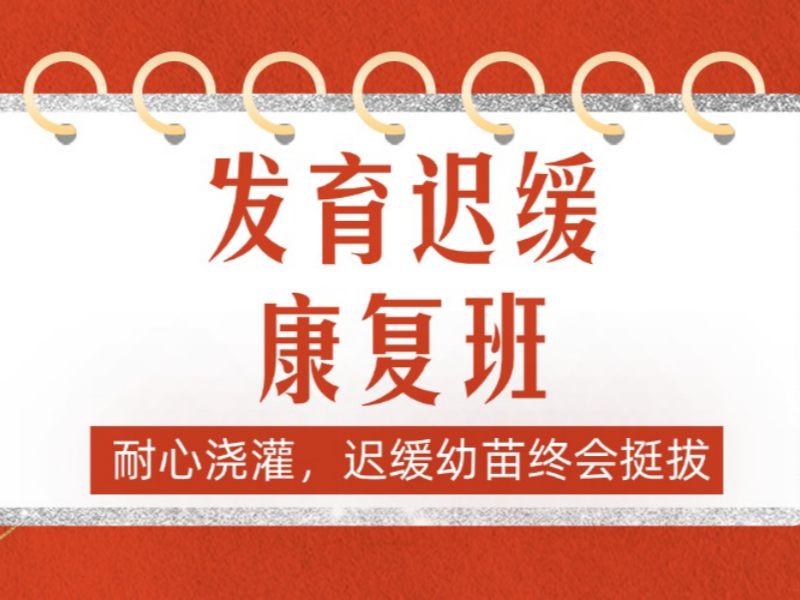 2026重庆发育迟缓的孩子怎么干预？口碑发育迟缓康复班前五排名一览