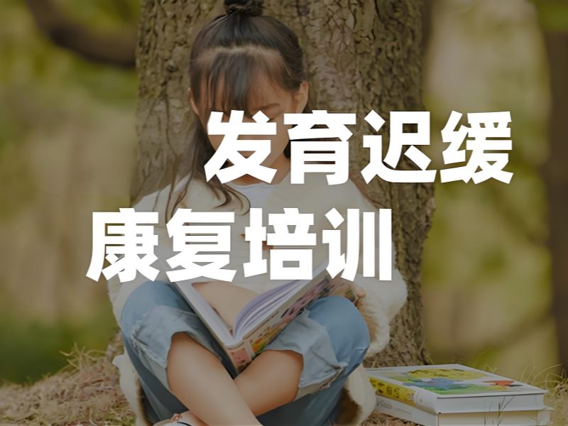 2026重庆发育迟缓做感统训练有效果吗？专业发育迟缓康复班TOP4排名一览