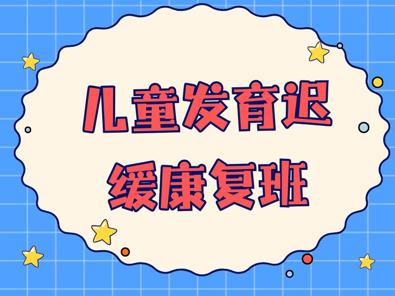 2026重庆发育迟缓的孩子能恢复正常吗？优质发育迟缓康复班TOP3排名一览