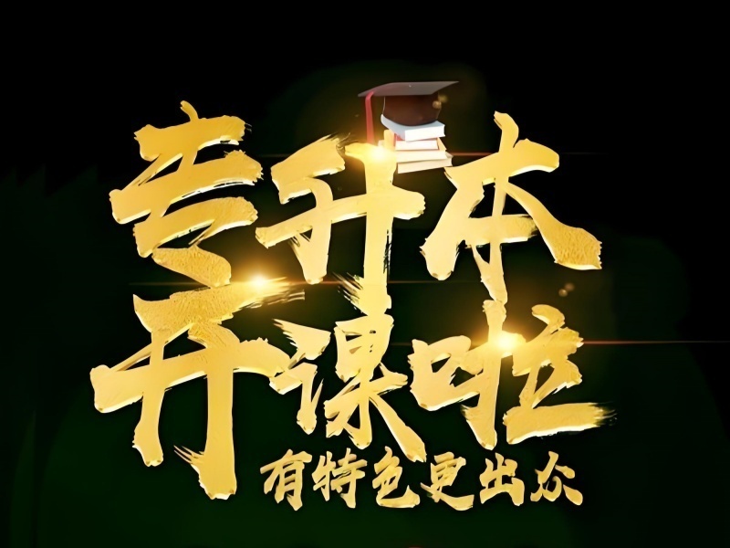 2026合肥专升本培训大班课哪家靠谱？专升本培训机构前六排名一览