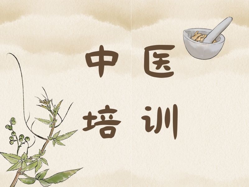 2026西安中医培训机构哪家专业？中医培训机构前六排名一览