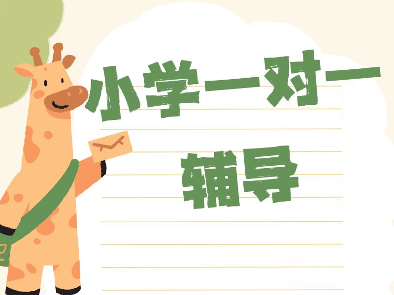 2026 杭州小学一对一补课效果怎么样？小学一对一辅导班 TOP3 排名一览